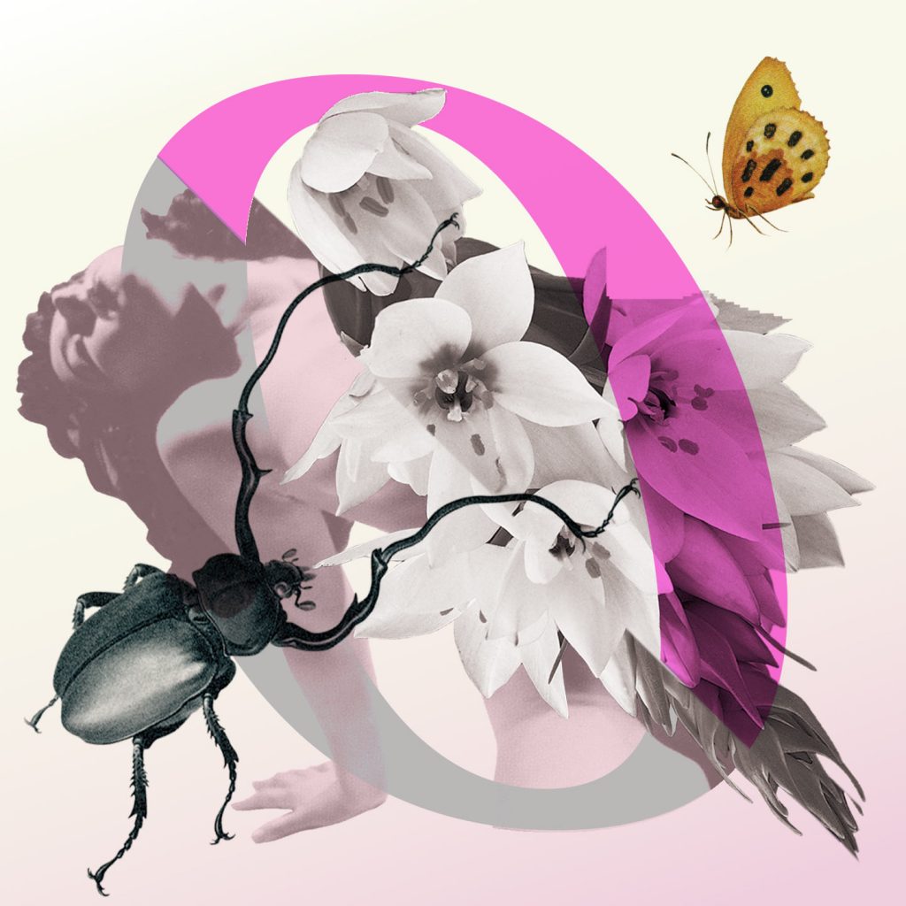 Dit is Ongehoord. De podcast over seksualiteit. Je ziet een roze o, met bloemen in het midden die een naakte vrouw bedekken. Links onderin een zwarte tor en rechts bovenin een gele vlinder met zwarte stippen. 